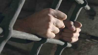 القبض على شخصين بحوزتهم حشيش وأقراص مخدرة بكفر الزيات
