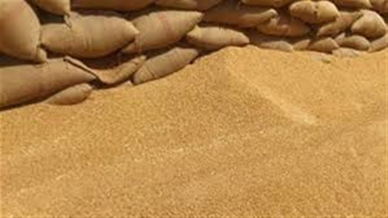 توريد القمح