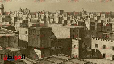 تعداد مصر في 1801.. 