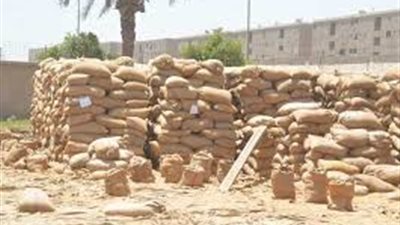 محافظ الغربية: نسعى لتخفيف العبء على المزارعين في أزمة القمح