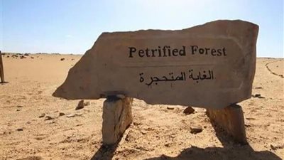 فيديو| الأمطار تتسبب فى انهيار جزء من سور الغابة المتحجرة 