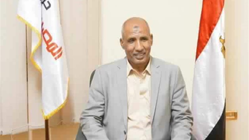 النائب عامر الحناوي