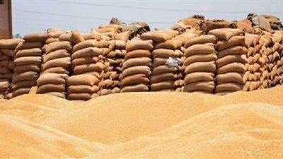 تموين المنيا: توريد 51 ألف طن قمح وفتح شونة تندة