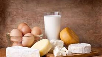 استقرار أسعار البيض والألبان اليوم