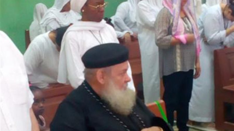 المواطن