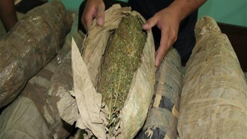 بانجو 