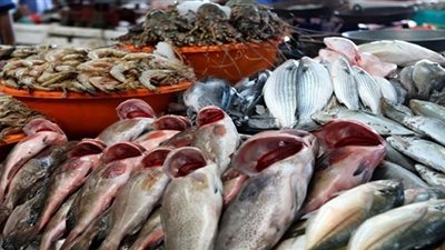 أسعار الأسماك اليوم.. و