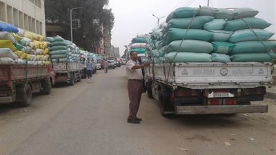توريد 383 ألف و20 طن قمح لصوامع وشون الشرقية 
