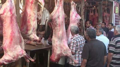 مبادرة لخفض أسعار اللحوم ومساعدة صغار تجار ومربي المواشي