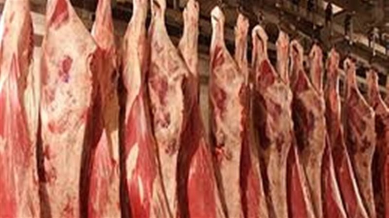 اسعار اللحوم 