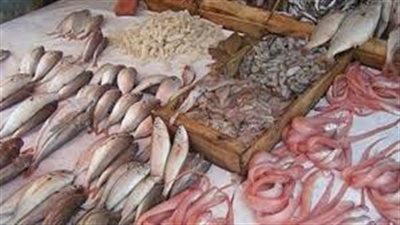  تباين أسعار الأسماك اليوم.. والبلطي بـ70 جنيهًا