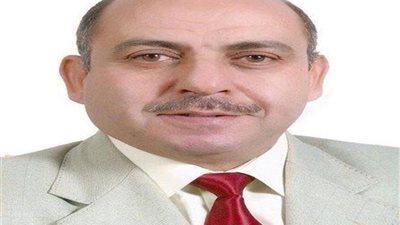 عبد النبي: الطاقة النووية مصدر حيوي يمكن لشبكات الكهرباء الوطنية عليه