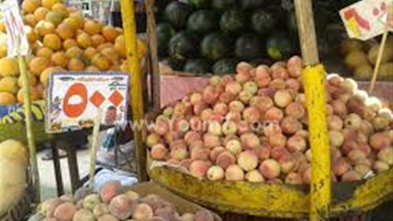اسعار الفاكهه 