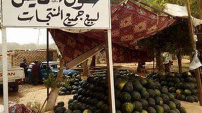 صور| بدء تفعيل السوق الأسبوعي لبيع جميع المنتجات بمدينة 