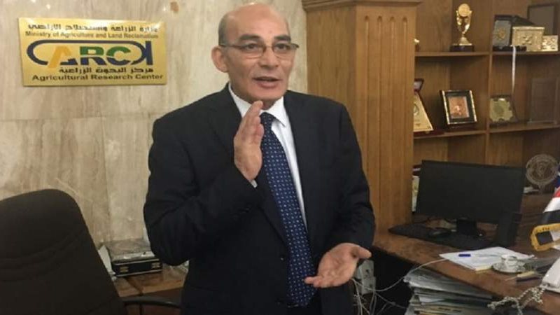 الدكتور عبد المنعم