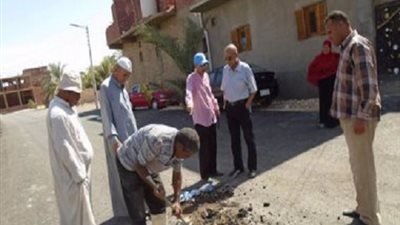 قرعة علنية لنقل حظائر الماشية خارج المدينة بالوادى الجديد