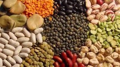أسعار البقوليات اليوم.. والعدس الأصفر بـ17 جنيهًا