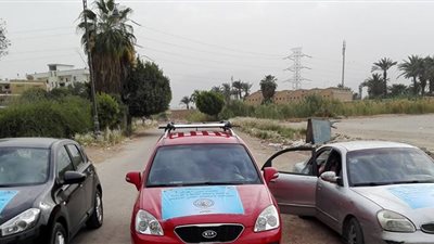 صو| اصطياد 400 غراب بالسويس بعد مهاجمتهم للأطفال
