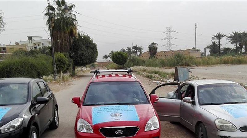 حملة القضاء على الغربان