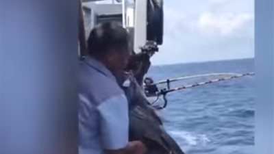فيديو| لقطات غير عادية لصيادين يسحبون سمكة وزنها 100 كيلو 