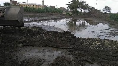 إزالة 3 مشاتل أرز بقرية 