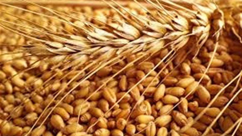 اسعار السلع الحيوية