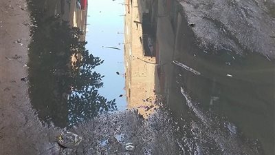 مدينة الرحمن تستغيث بـ 