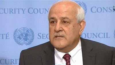 مندوب فلسطين: نشكر الأشقاء العرب على تضامنهم معنا