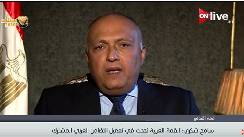 سامح شكري وزير الخارجية