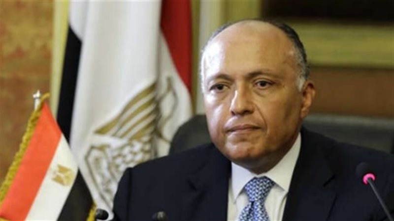 وزير الخارجية سامح