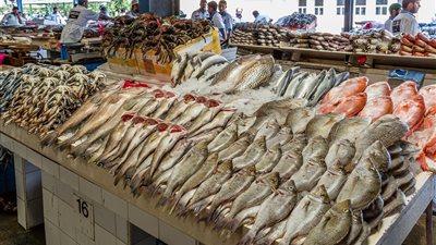 تعرف على أسعار الأسماك اليوم