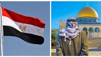 مصر قلب العروبة.. جهودا لوقف سيل دماء أبرياء غزة.. ودهاء سياسي لمواجهة التصعيد المسلح