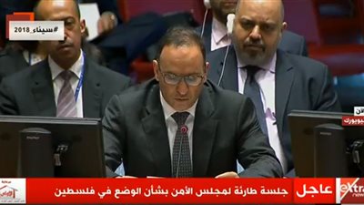 مندوب الكويت بمجلس الأمن يطالب بتأمين الحماية الدولية للفلسطينيين