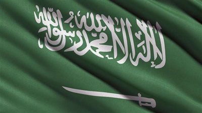 مصرع 4 أشخاص جراء سقوط طائرة بالمملكة العربية السعودية