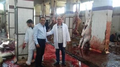 تحرير 4 محاضر ذبح خارج السلخانة بشبين القناطر