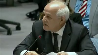 فيديو| مندوب فلسطين: مجلس الأمن مشلول أمام المذابح الفلسطينية من قوات الاحتلال