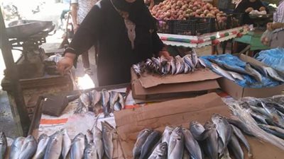 صور| ضبط  لحوم غير صالحة للاستخدام الآدمي في حملة بالمنصورة  