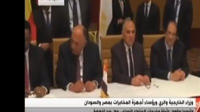 فيديو| شكري: القاهرة تستضيف الجولة الثالثة من مباحثات سد النهضة يونيو المقبل