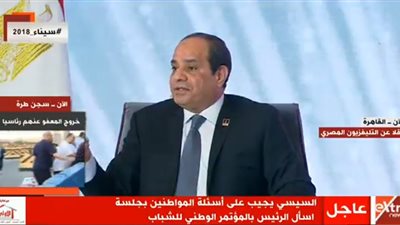 السيسي عن أزمة المترو: 