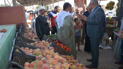 الوادي الجديد في اسبوع.. تعديل منطقة النقب.. وطرح لحوم بأسعار مخفضة.. وإحالة مسئولي سوق الخميس للتحقيق
