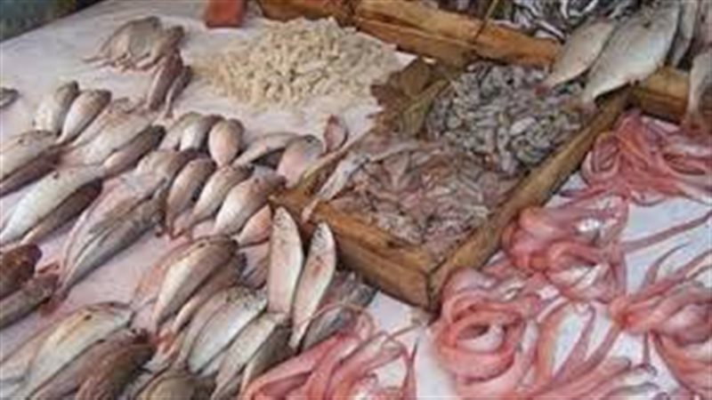 اسعار الاسماك 