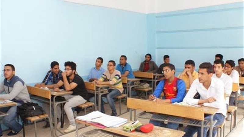 المواطن
