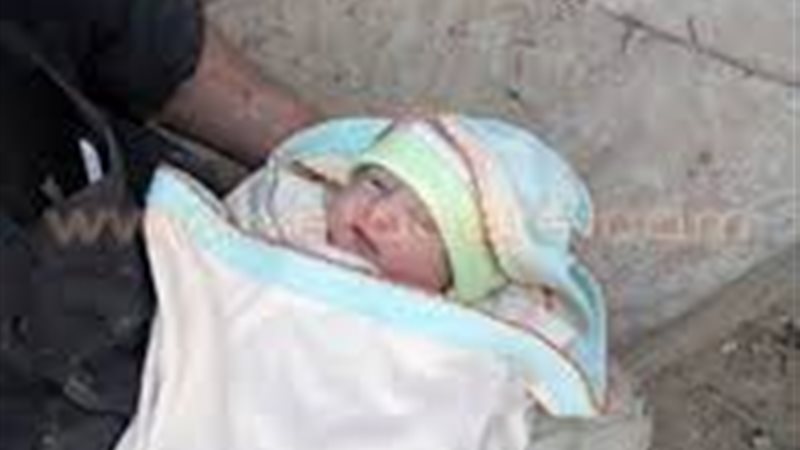 طفل رضيع ارشيقية