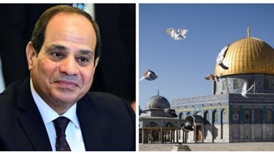 أحداث غزة.. أبعد من النهاية.. ومصر كلمة السر للتوصل إلى صيغة إنهاء العنف بزهرة المدائن