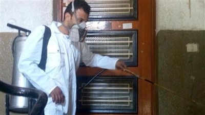 فيديو| الصحة تنفي وجود حشرة غريبة تؤدي لانتشار وباء في المعادي 