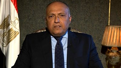 المتحدث بإسم الخارجية المصرية: نكثف الجهود لمحاربة الإرهاب 