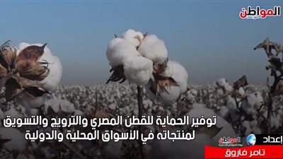 فيديو جراف.. نرصد مزايا عقد إدارة شعار القطن المصري