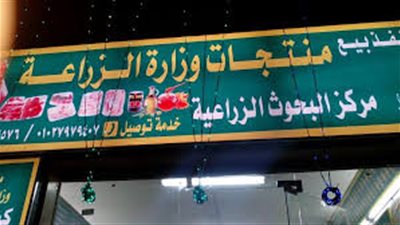 مدير منافذ بيع بالزراعة لـ