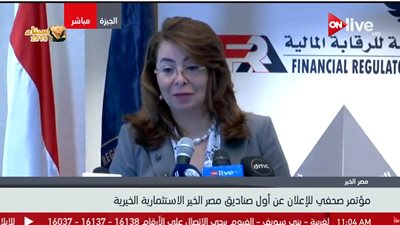 فيديو| والي : الصناديق الاستثمارية الخيرية بديل لقانون الوقف 