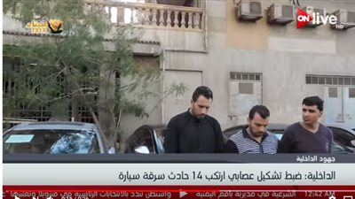 فيديو| ضبط أكبر تشكيل عصابي لسرقة السيارات بالإسكندرية 